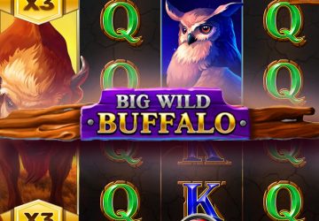 Автомат Big Wild Buffalo в LTC Casino