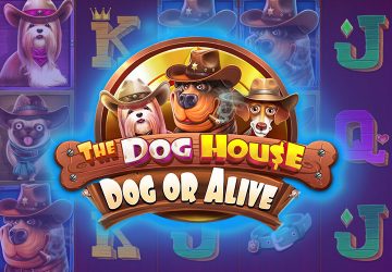 Игра The Dog House Dog Or Alive в LTC Casino